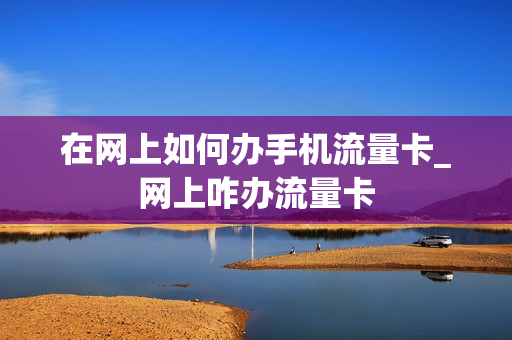 在网上如何办手机流量卡_网上咋办流量卡
