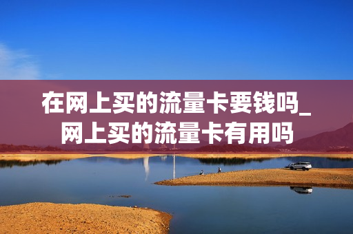 在网上买的流量卡要钱吗_网上买的流量卡有用吗