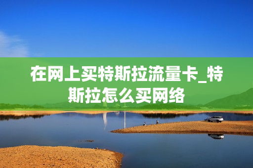 在网上买特斯拉流量卡_特斯拉怎么买网络