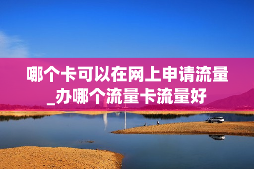 哪个卡可以在网上申请流量_办哪个流量卡流量好