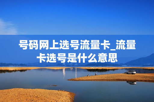 号码网上选号流量卡_流量卡选号是什么意思