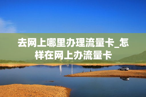 去网上哪里办理流量卡_怎样在网上办流量卡