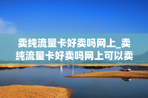 卖纯流量卡好卖吗网上_卖纯流量卡好卖吗网上可以卖吗