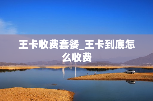 王卡收费套餐_王卡到底怎么收费