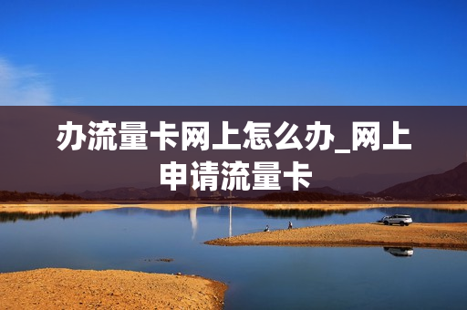 办流量卡网上怎么办_网上申请流量卡