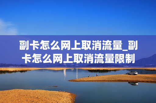 副卡怎么网上取消流量_副卡怎么网上取消流量限制