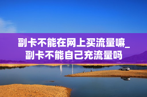 副卡不能在网上买流量嘛_副卡不能自己充流量吗