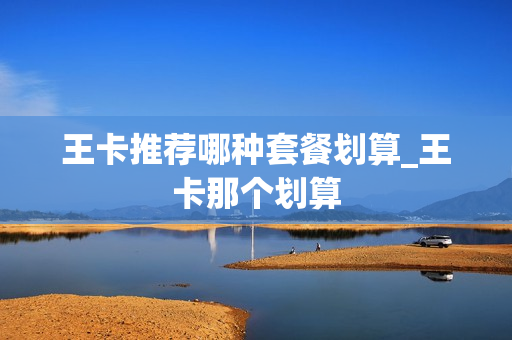 王卡推荐哪种套餐划算_王卡那个划算