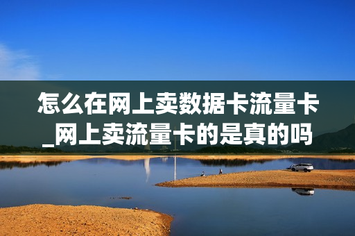 怎么在网上卖数据卡流量卡_网上卖流量卡的是真的吗
