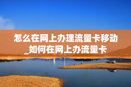 怎么在网上办理流量卡移动_如何在网上办流量卡
