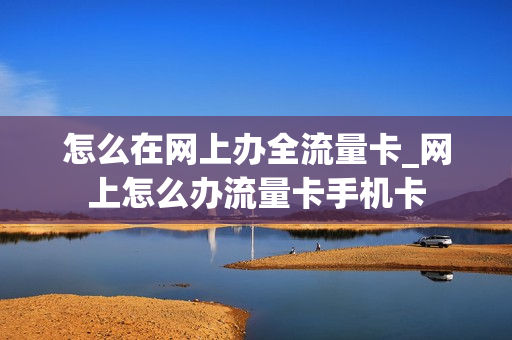 怎么在网上办全流量卡_网上怎么办流量卡手机卡