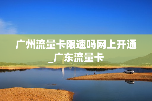 广州流量卡限速吗网上开通_广东流量卡