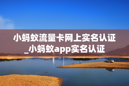 小蚂蚁流量卡网上实名认证_小蚂蚁app实名认证