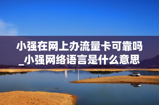 小强在网上办流量卡可靠吗_小强网络语言是什么意思