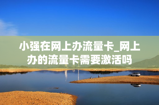 小强在网上办流量卡_网上办的流量卡需要激活吗