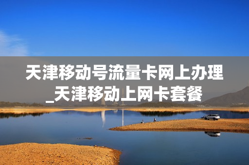 天津移动号流量卡网上办理_天津移动上网卡套餐