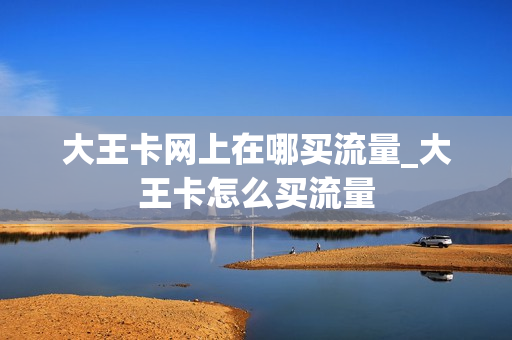 大王卡网上在哪买流量_大王卡怎么买流量