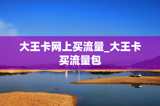 大王卡网上买流量_大王卡买流量包