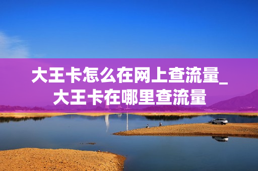 大王卡怎么在网上查流量_大王卡在哪里查流量