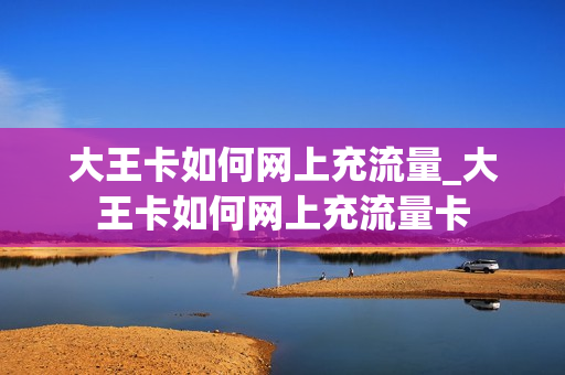 大王卡如何网上充流量_大王卡如何网上充流量卡
