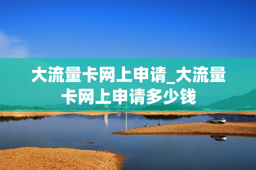 大流量卡网上申请_大流量卡网上申请多少钱