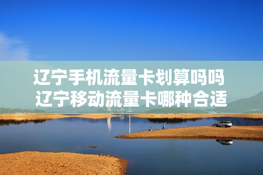 辽宁手机流量卡划算吗吗 辽宁移动流量卡哪种合适