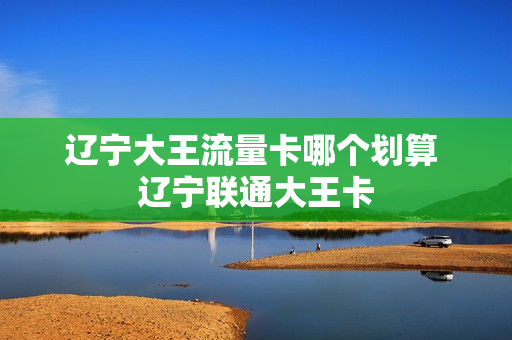 辽宁大王流量卡哪个划算 辽宁联通大王卡