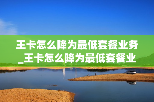 王卡怎么降为最低套餐业务_王卡怎么降为最低套餐业务了