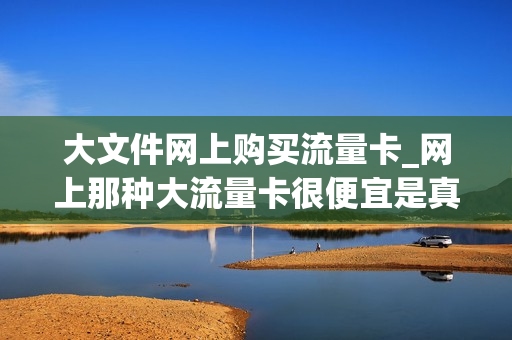 大文件网上购买流量卡_网上那种大流量卡很便宜是真的吗