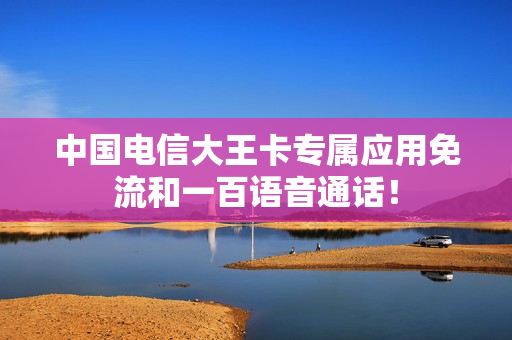 中国电信大王卡专属应用免流和一百语音通话！