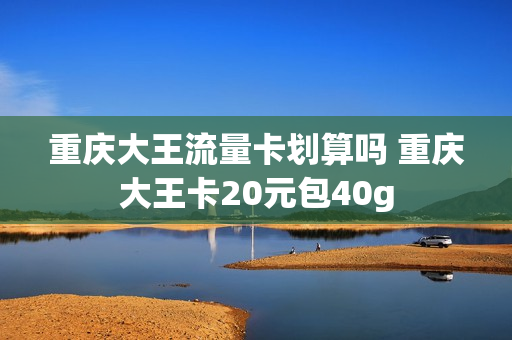 重庆大王流量卡划算吗 重庆大王卡20元包40g