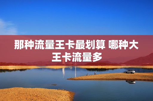 那种流量王卡最划算 哪种大王卡流量多