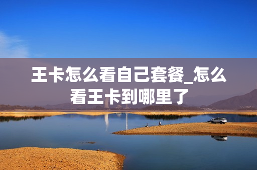 王卡怎么看自己套餐_怎么看王卡到哪里了