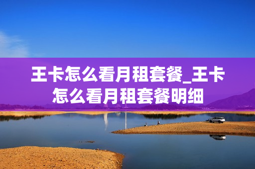 王卡怎么看月租套餐_王卡怎么看月租套餐明细