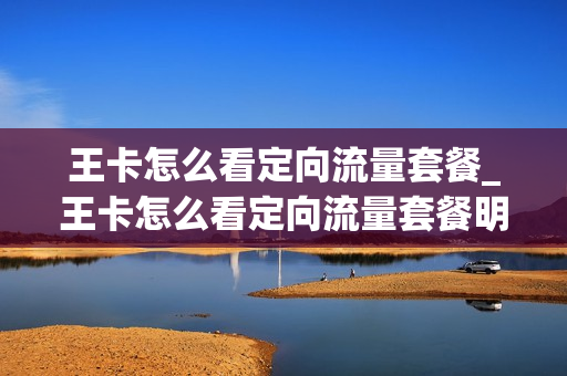 王卡怎么看定向流量套餐_王卡怎么看定向流量套餐明细