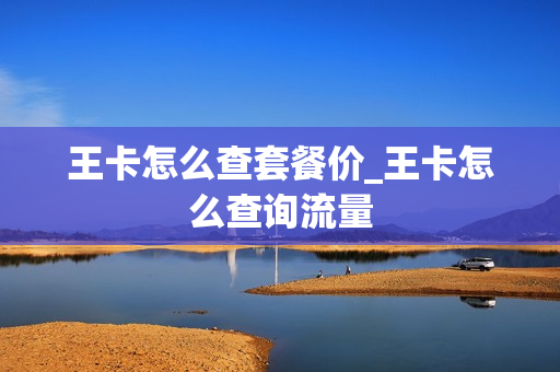 王卡怎么查套餐价_王卡怎么查询流量