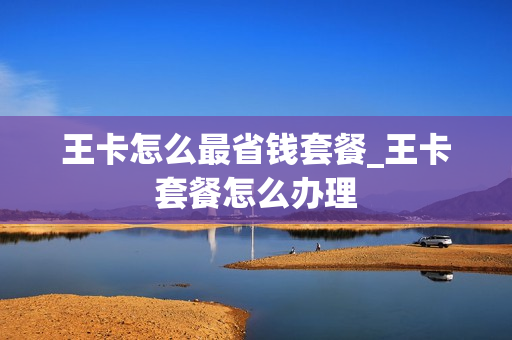 王卡怎么最省钱套餐_王卡套餐怎么办理