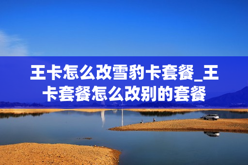 王卡怎么改雪豹卡套餐_王卡套餐怎么改别的套餐