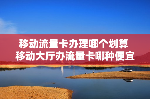 移动流量卡办理哪个划算 移动大厅办流量卡哪种便宜