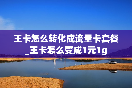 王卡怎么转化成流量卡套餐_王卡怎么变成1元1g