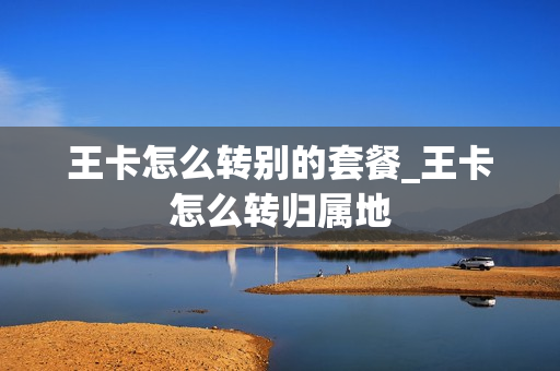 王卡怎么转别的套餐_王卡怎么转归属地