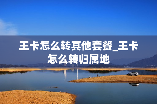 王卡怎么转其他套餐_王卡怎么转归属地
