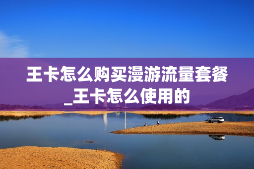 王卡怎么购买漫游流量套餐_王卡怎么使用的