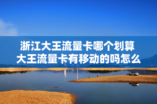浙江大王流量卡哪个划算 大王流量卡有移动的吗怎么用