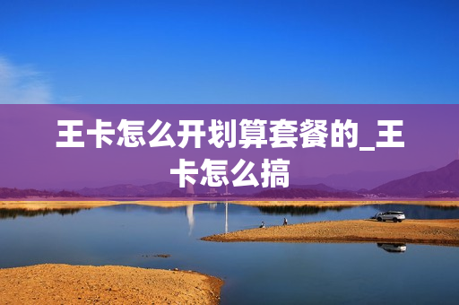 王卡怎么开划算套餐的_王卡怎么搞