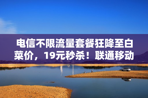 电信不限流量套餐狂降至白菜价，19元秒杀！联通移动无力反击