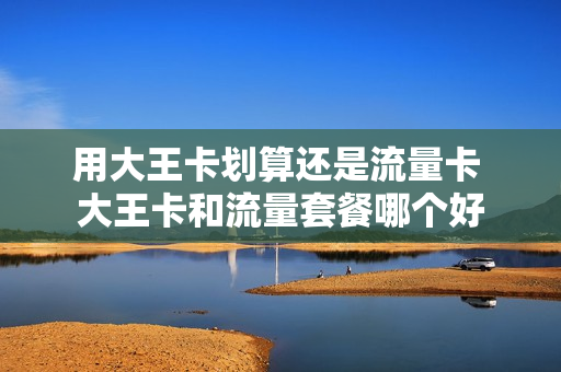 用大王卡划算还是流量卡 大王卡和流量套餐哪个好