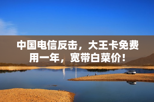 中国电信反击，大王卡免费用一年，宽带白菜价！