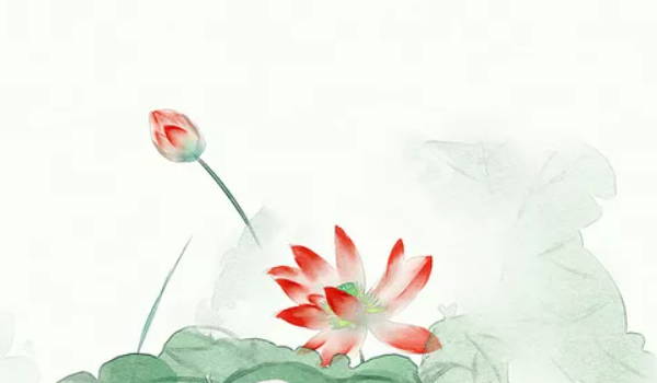 动能卡套餐靠谱吗 动能动力